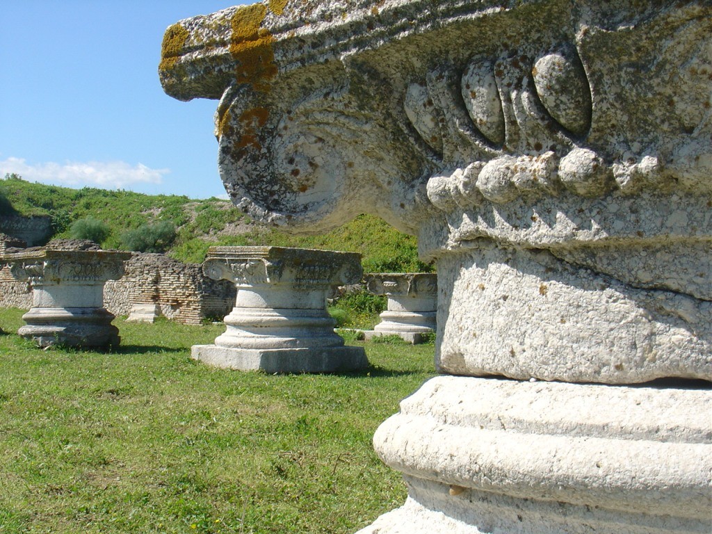 Herdonia